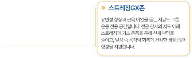 스트레칭GX존 유연성 향상과 근육 이완을 돕는 저강도 그룹 운동 전용 공간입니다. 전문 강사의 지도 아래 스트레칭과 기초 운동을 통해 신체 부담을 줄이고, 일상 속 움직임 회복과 건강한 생활 습관 형성을 지원합니다.